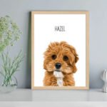 Hazel